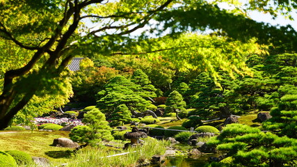 日本庭園の風景