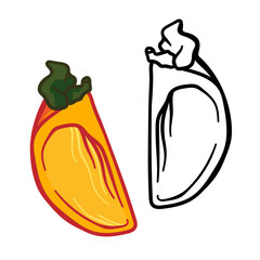 Vector doodle Persimmon. Hand drawn persimmon fruit illustration isolated on white background. Food icon