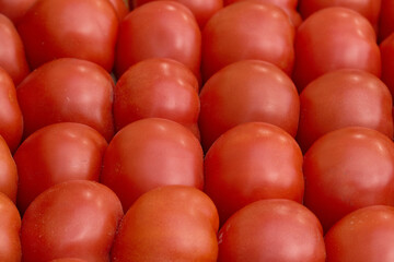 vegetables red ripe tomatoes on the background