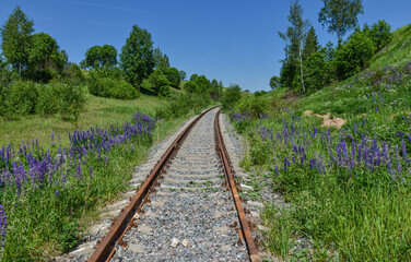 Obraz premium rusty railway among green hills and blooming lupine meadows in Dukhovshchinsky District, Smolensk region, Russia 