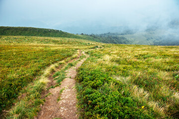 Small path on meadow leading to green mountains