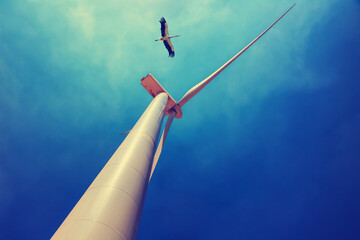 Wind turbine power station for produce electricity. White stork flies in the blue sky. Upward view....