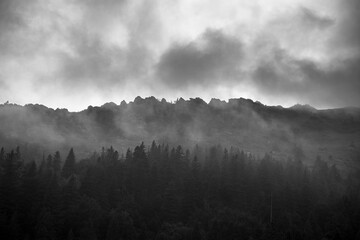 Black and white photo of mountains and coniferous trees