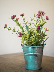 Ornamental trees in aluminium pot