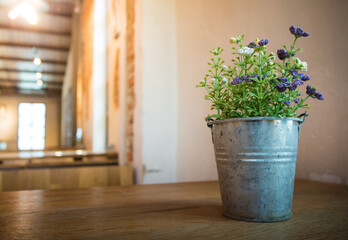 Ornamental trees in aluminium pot