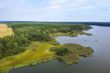 Obraz premium Summer landscape with river and forest, aerial view