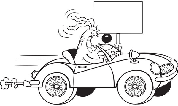 Black and white illustration of a dog driving a convertible sports car with wire wheels while holding a sign.