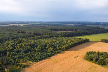 Naklejka premium Agricultural field and forest, aerial view of summer landscape