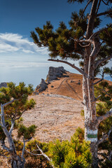 Demerdzhi mountain on the Crimean Peninsula taken during the day from a quadrocopter