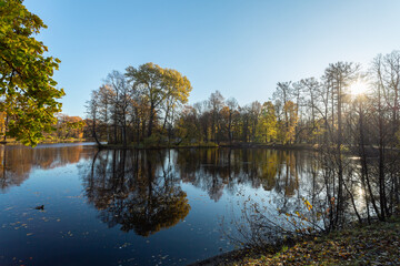 Fototapeta na wymiar Multicolored sunny autumn landscape with park pond with ducks.