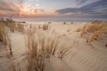 Sand dunes in Kaliningrad. Natural background. Sunrise.