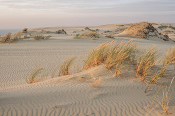 Sand dunes in Kaliningrad. Natural background. Sunrise.