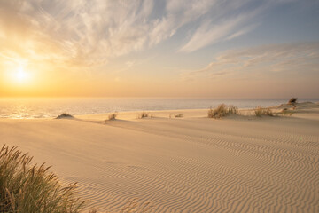 Fototapeta na wymiar Sand dunes in Kaliningrad. Natural background. Sunrise.