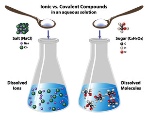 Ionic vs. Covalent Compounds in an aqueous solution. Sugar and Salt solutions mixed in glass beakers. Sodium chloride and sugar molecules.