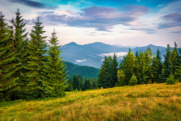 Colorful sunrise on Yahidna mount. Stunning summer view of Carpathian mountains, Ukraine, Europe. Beauty of nature concept background.