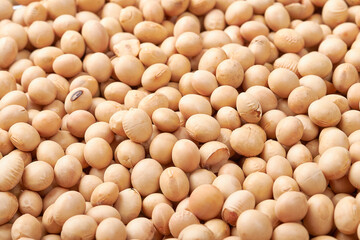 close up soybean, dried soybeans background