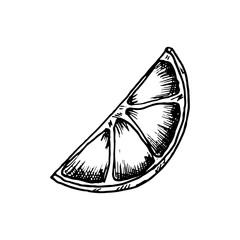 Lemon slice in doodle style hand drawn vector. Lemon wedge sketch. Icon for website, mobile and infographics.