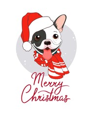 Fototapeta na wymiar Cute winter poster Merry Christmas. French bulldog black and white with warm scarf and santa claus hat. Vector illustration of a dog, a holiday. New Year card, design for textiles.