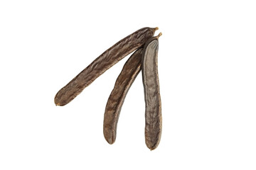 Three dry carob pods isolated on white background.