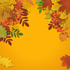 Fototapeta premium Autumn background, tree paper leaves