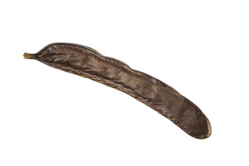One dry carob pod isolated on white background.
