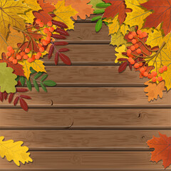 Naklejka na ściany i meble Autumn background, tree paper leaves