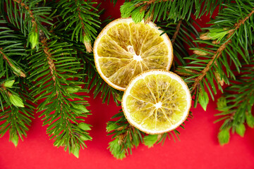 Dried orange slices with christmas tree branches on red background