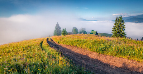 Picturesque summer view of Carpathian Mountains. Foggy morning scene of Stebnyi village,...