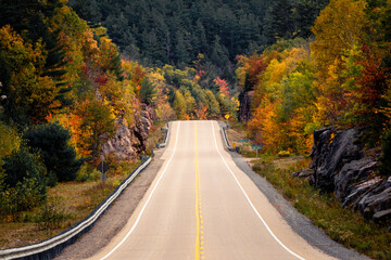 Fototapeta premium road in autumn