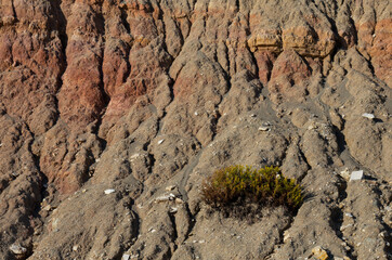 Geologic details from an ocean cliff in Praia da Luz, Lagos, Algarve, Portugal.