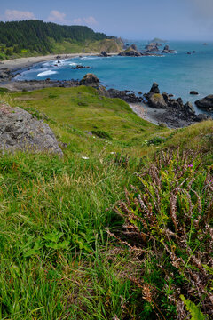 Spectacular and accessible Oregon coast.  Samuel Boardman State Scenic Corridor