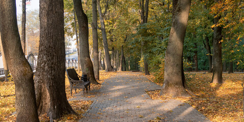 City park in autumn, sunny morning. Gomel, Belarus.