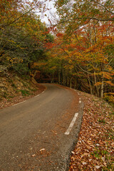 Obraz premium View of mountain road. Asphalt roads, during autumn season.