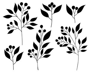 Silhouettes of plants flowers leaves vector illustration