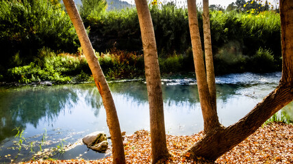 Autumn scenes in nature, with rivers and orchards, to enjoy with family and friends.