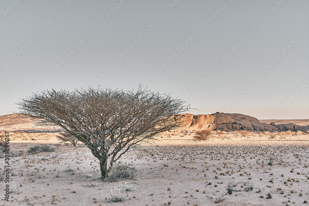 Wall mural Beautiful landscape view in Namibia, Africa