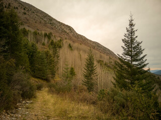 Obraz premium Paisaje de naturaleza en sierra de Coahuila, México
