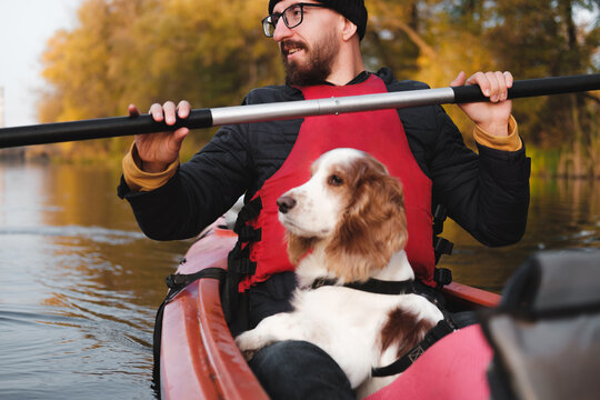 Happy man rowing a canoe with his spaniel dog, sunny autumn weather. Going kayak boating with dogs on the river, active pets, wholesome dog and owner on an adventure