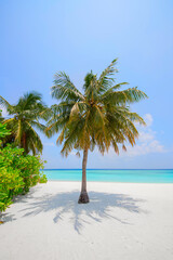 Obraz premium Beautiful paradise tropical beach with coco palm, white sand and the turquoise sea in Maldives island, vertical. 