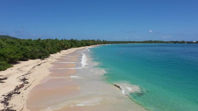Salines beach Sainte Anne Martinique aerial shot paradisiac destination white sand and turquoise water 