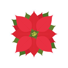 Poinsettia Flower, Christmas Flower. Christmas Floral Plant, Vector Illustration Background