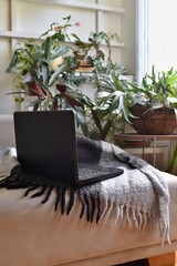 laptop and warm blanket in front flowers still life