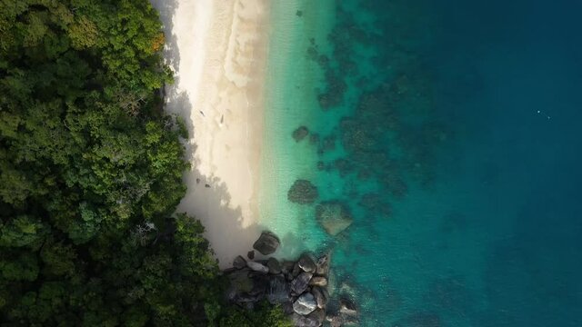 Downward angle drone shot of people on Nudey Beach on Fitzroy Island in Queensland, Australia