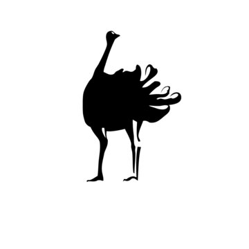 recommend clip art: logo or label for ostrich farm and zoo. logo with ostrich. Vector logo.