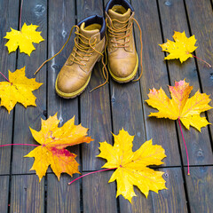 Leather shoes and yellow maple leaves on a wooden background. The concept of autumn has come.