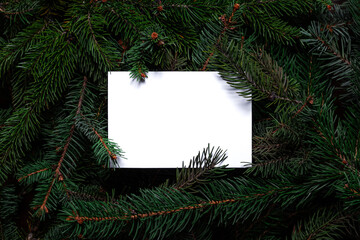 Christmas tree branches with white paper card note. Nature New Year concept. Merry Christmas card, background. Congratulations, holidays, celebration. Mock up, copy space, flat lay.