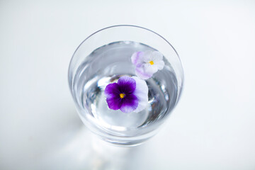 ナチュラルイメージ