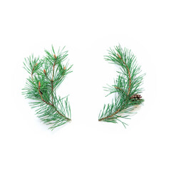 Minimalist Christmas layout. Natural pine branches with green needles are on a white background. New Year, winter concept. Flat lay. Top view. Copy space.
