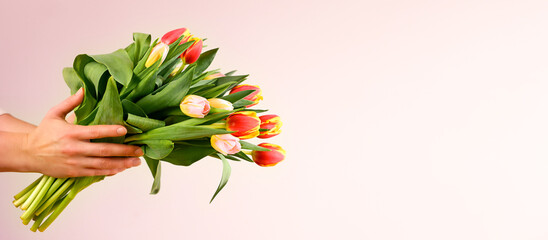 Fototapeta na wymiar Woman holding beautiful spring tulips on pink background, closeup. Space for text