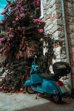Blue scooter on a background of palm trees and flowers in the yard. Beautiful summer photo for a postcard